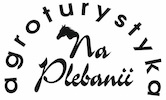 logo Na Plebanii
